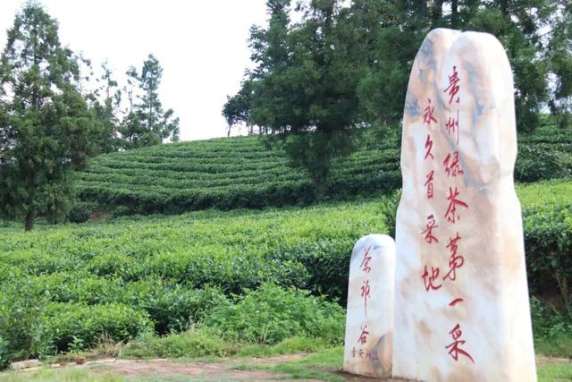 普安山川风物 || 秋高气爽 茶山有韵