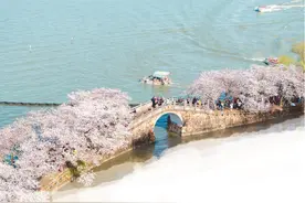 深读｜从根上治从源头控，江苏更大力度、更加精准开展太湖治理图片