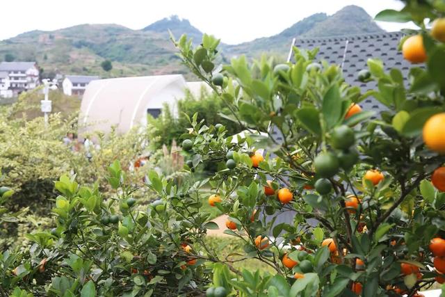 播州宿语｜乌荷·春山，慢下来的时光