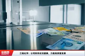 三维化学：公司财务状况健康，力推高质量发展视频封面