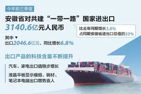 安徽省对共建“一带一路”国家进出口连续7个月环比增长图片