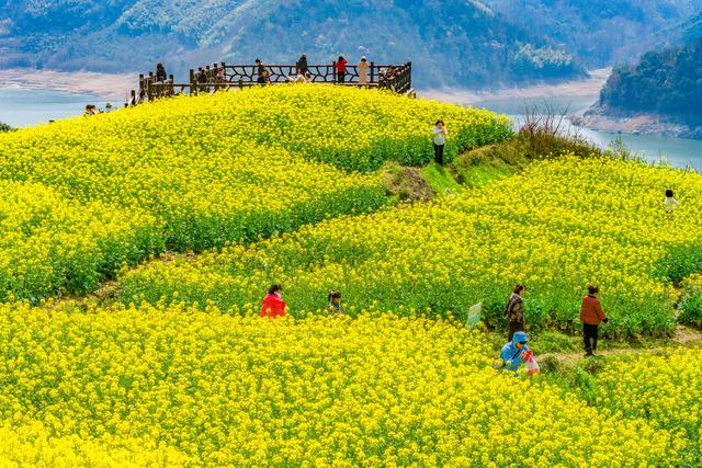 浙江：春花烂漫惹人醉