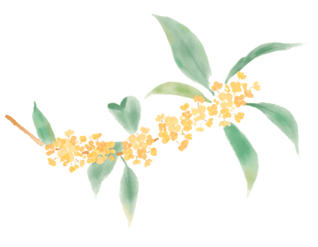 盼了好久的桂花，终于开了！