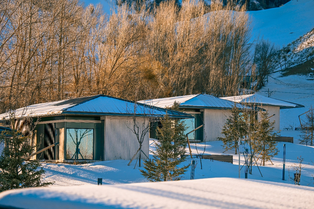 冰雪经济成“双循环”新引擎：携程入境冰雪游订单翻倍增长 东南亚游客占七成