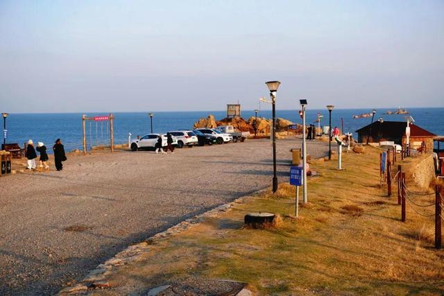 “鸥”遇环翠 “雪”舞浪漫丨威海这个地方，来一百次也不会腻