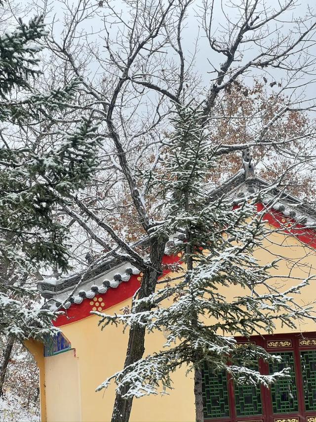 遇见2025年五大连池第一场雪，年年落雪，雪落年年～