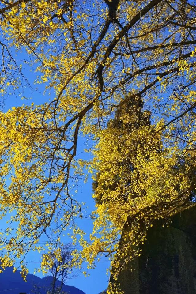 来江西的村庄，寻找生活最本真！