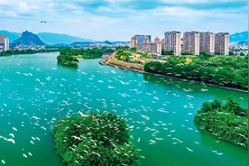 瞭望 | 浙江丽水：建设平台破解“交易难”图片