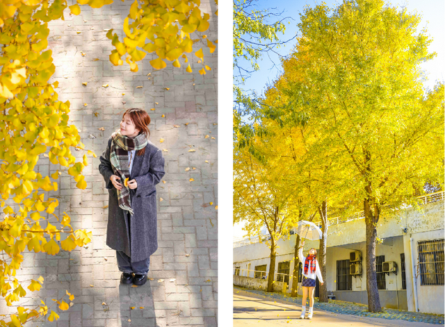 最好的秋天，在华师！