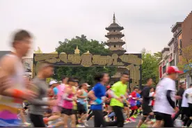 （体育）马拉松——2023福州马拉松鸣枪开跑图片