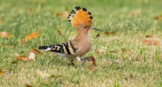 无锡最新追“星”指南，速收藏！