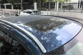 车停树下一段时间，怎么油乎乎的？竟是蚜虫惹的祸图片