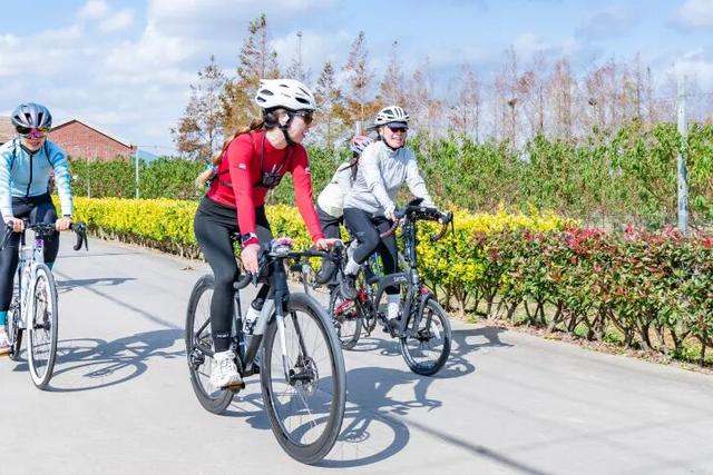 以车轮丈量乡村振兴新图景——上海·市民乡村定向骑行赛崇明陈家镇站举办