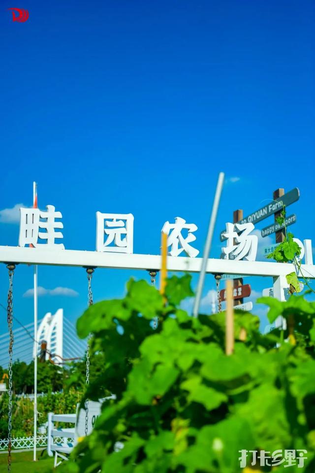 打卡乡野丨当云朵“坠”入窗沿，我在魔都近郊找到了现实版“归园田居”