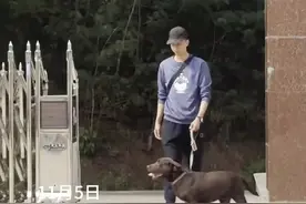 退役警犬回“娘家”，见到兄弟思念藏不住了！图片