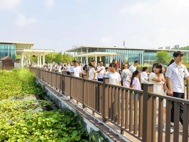 重磅消息！免票！滕州微山湖红荷湿地面向山东省内游客免门票啦