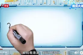 数说大湾区 | 一年生产价值20万亿元的工业品，广东凭什么？图片