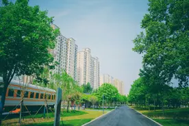 郑州这个公园停业五年后，即将新装开放~图片