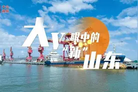 德州不止扒鸡,东营不只石油:农业大市或资源城市的发展破局图片