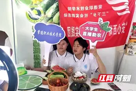 常德西湖：校企合作赋能电商 西湖优质农特产品“飞”出乡村图片