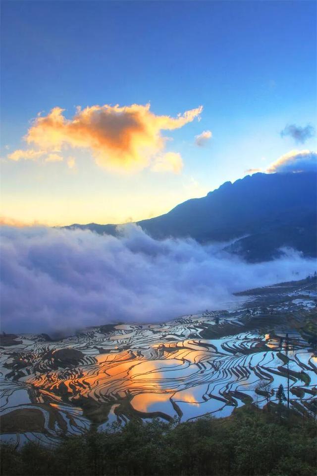 别宅家！赴一场20℃的暖冬旅居之约