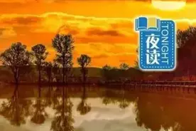 夜读｜6篇超治愈的精美小短文，读起来触动人心图片