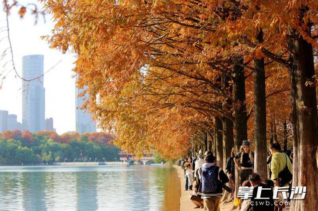 又是艳阳天，打卡人如潮｜组图