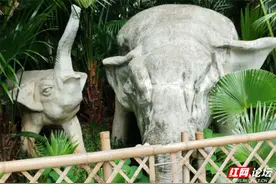 童年的记忆还在吗？曾组团逛北湖公园的小伙伴去哪了？图片