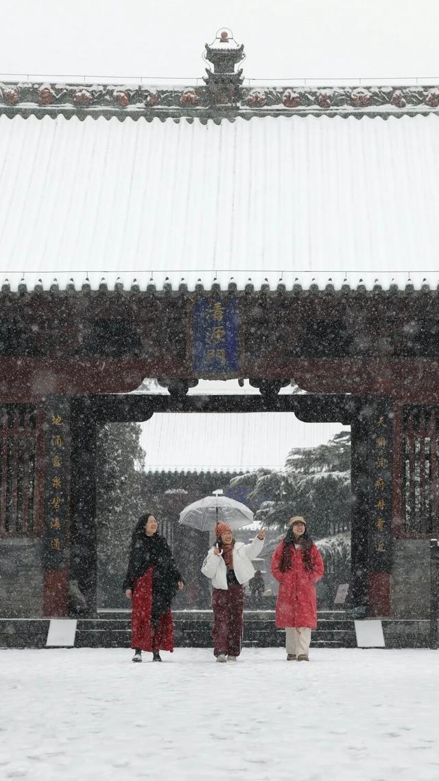 河南下雪冲上热搜！解锁各地冰雕玉砌的浪漫密码……速戳绝美现场→