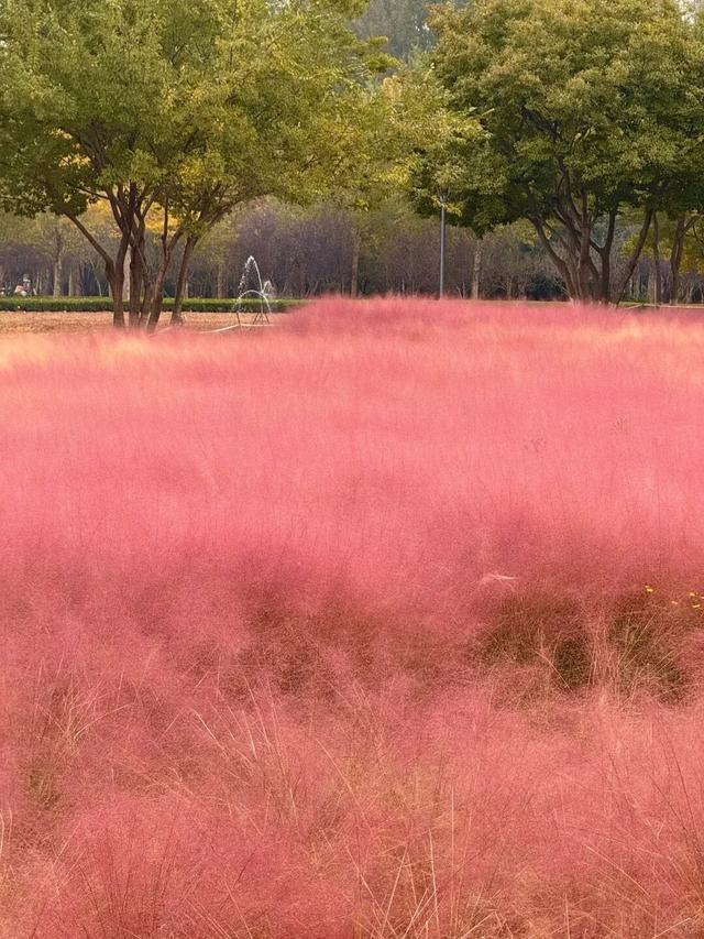 听说周末的石门坊挤爆了？哎，我有一计！