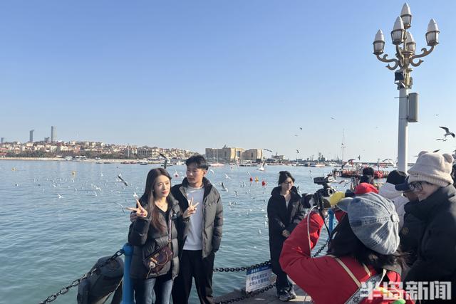 人鸥共舞 和谐画卷