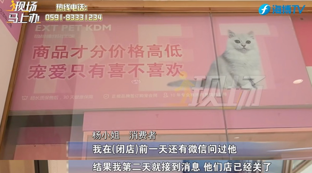 宠物店连夜关门，店内还有猫狗无人照顾？