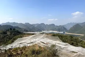 开阳县：搭建果树“防雹网” 织牢果农“丰收网”图片