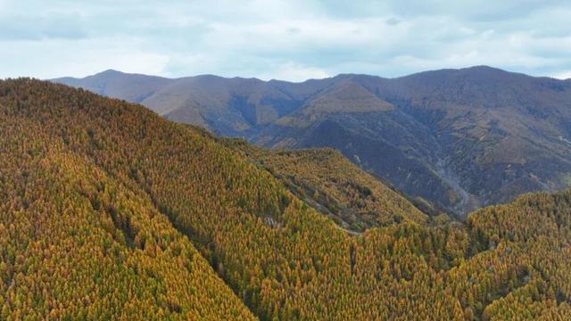 金秋五台山 醉美山色入画来