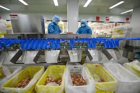 一颗水果的匠心底色图片