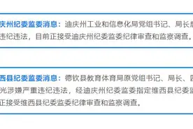 迪庆州2名干部接受审查调查图片