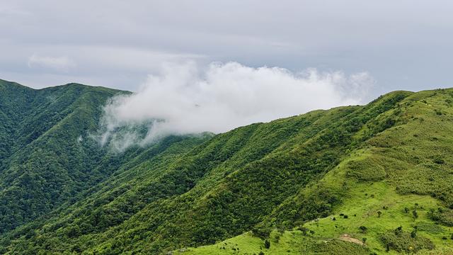 湖南之巅——酃峰美景