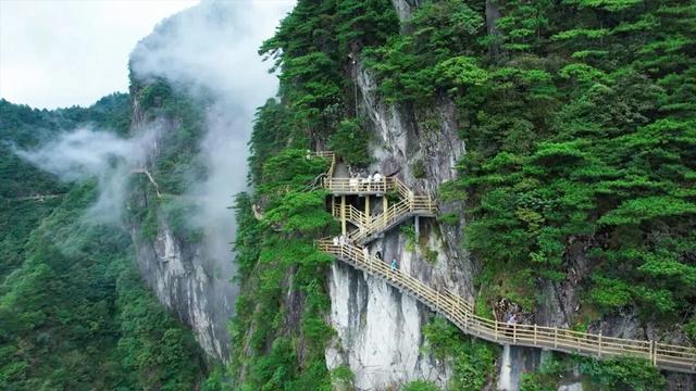 山称明月好，月出遍山明