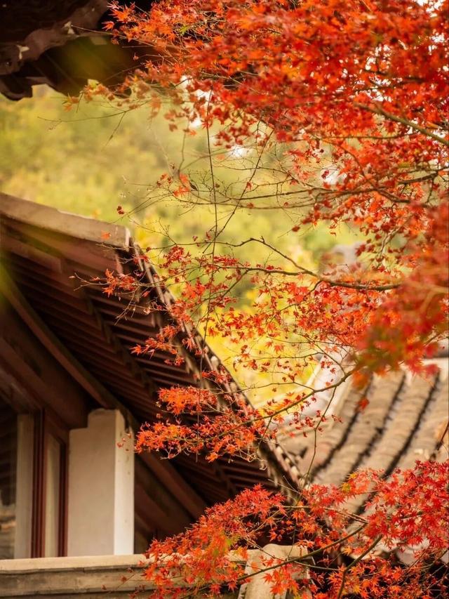 接下来的镇江是这样的！