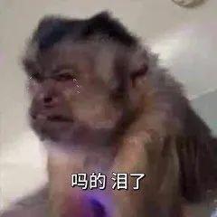 机器人刚打扫完家务，我说：“再去给我炒俩菜”