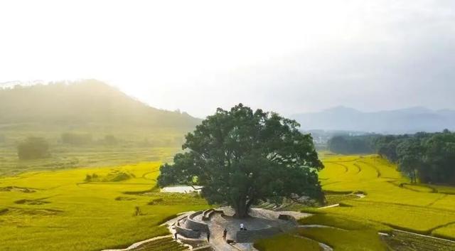 假期余额告急！乳源这些好逛景点，轻松打卡不留遗憾！