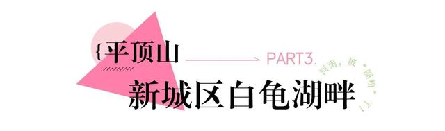 河南，被圈“粉”了！
