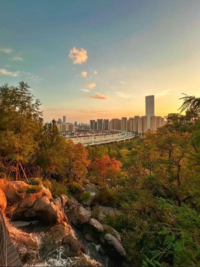 去爬山！这些五彩山林，竟然都在上海！