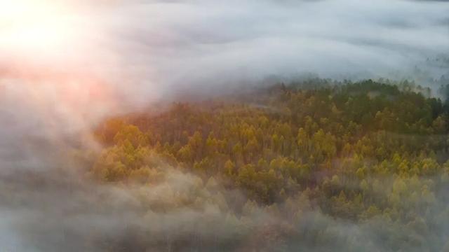 欢迎来到，秋天的廊道