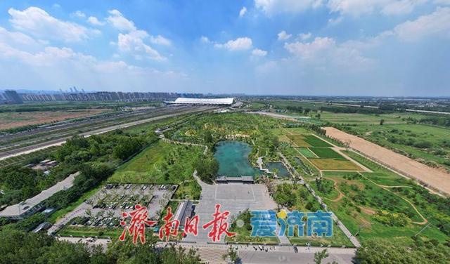 一年四季 泉在济南丨“白泉涌沙”景观再现 生态修复美景醉游人