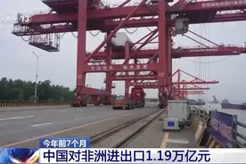 贸易往来日趋紧密，中国⇌非洲一路“双向奔赴”图片