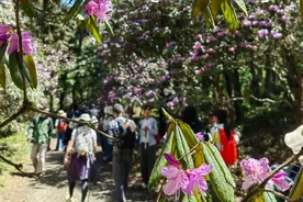 未开放景区的“巨人阶梯”引众人打卡，当地：危险系数高，严禁擅自进入，已加强值守劝返图片