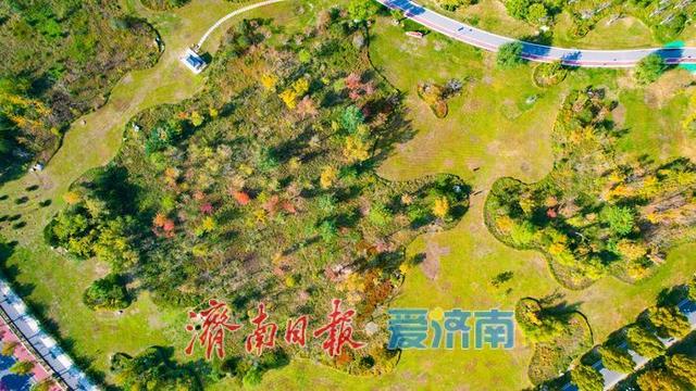 一年四季 泉在济南丨秋暮意正酣 华山湖公园秋意正浓