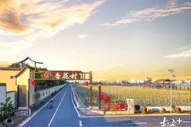 分界镇储良村： “龙眼村”探路新业态｜茂名典型村一线行㉒图片
