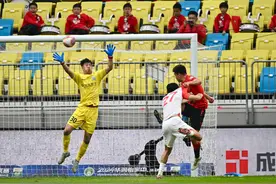 （体育）足球——中超：上海申花获得本赛季联赛亚军图片